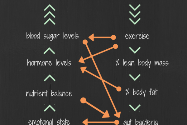 Calories In vs. Calories Out