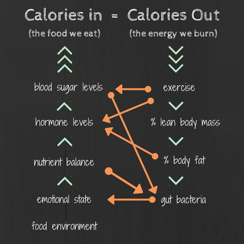 Calories In vs. Calories Out